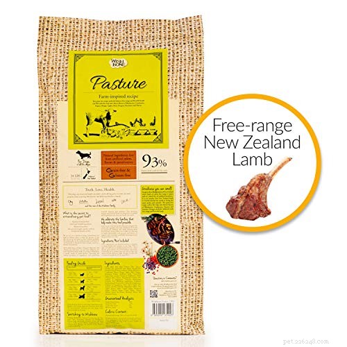 Top 40 Sensitive‑Stomach Dog Foods: Expert‑Recommended Choices