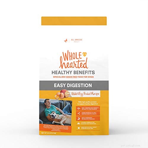 Top 40 Sensitive‑Stomach Dog Foods: Expert‑Recommended Choices