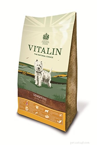 Top 40 Sensitive‑Stomach Dog Foods: Expert‑Recommended Choices