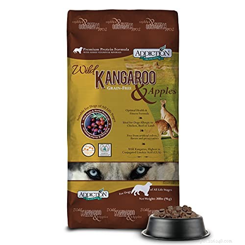 Top 40 Sensitive‑Stomach Dog Foods: Expert‑Recommended Choices