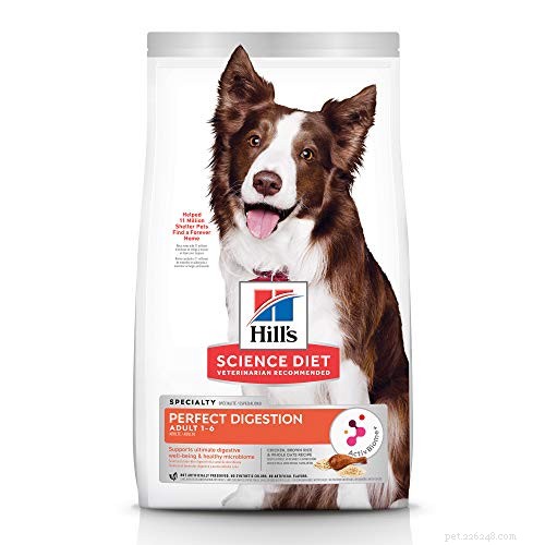 Top 40 Sensitive‑Stomach Dog Foods: Expert‑Recommended Choices