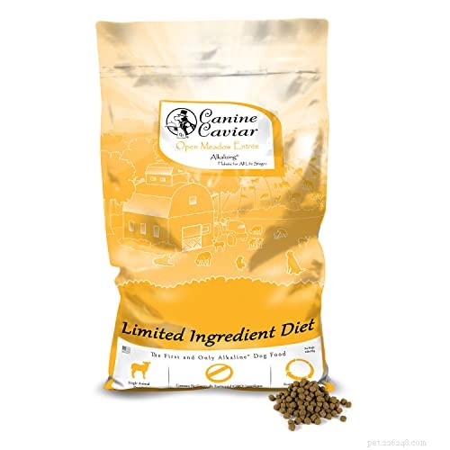 Top 40 Sensitive‑Stomach Dog Foods: Expert‑Recommended Choices