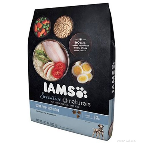Top 40 Sensitive‑Stomach Dog Foods: Expert‑Recommended Choices