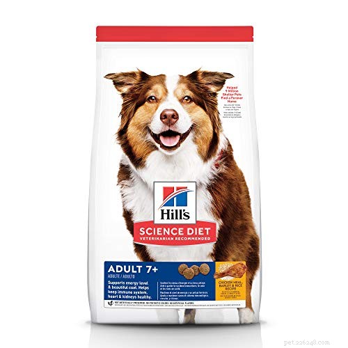 Low‑Protein Diet for Dogs: Expert Guide to Health and Nutrition