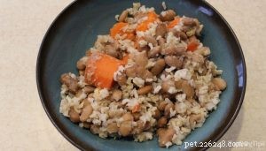 Low‑Protein Diet for Dogs: Expert Guide to Health and Nutrition
