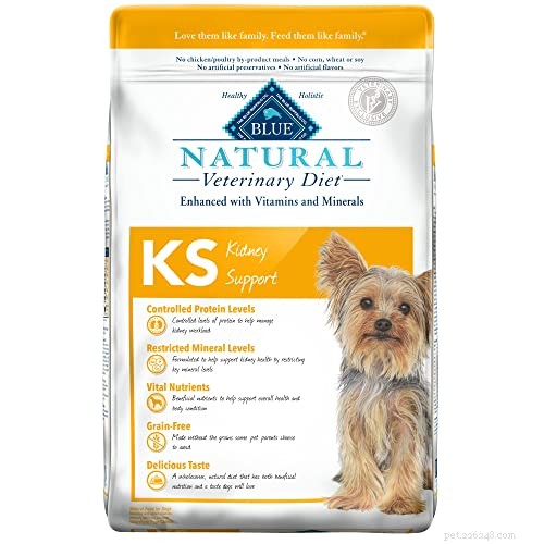 Low‑Protein Diet for Dogs: Expert Guide to Health and Nutrition