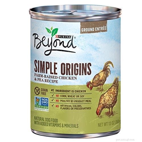 Expert-Recommended Gluten-Free Dog Foods & Recipes for Gluten-Sensitive Dogs