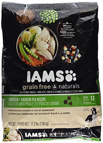 Expert-Recommended Gluten-Free Dog Foods & Recipes for Gluten-Sensitive Dogs