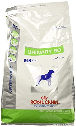 Choosing the Right Hypoallergenic Dog Food: A Veterinarian’s Expert Guide