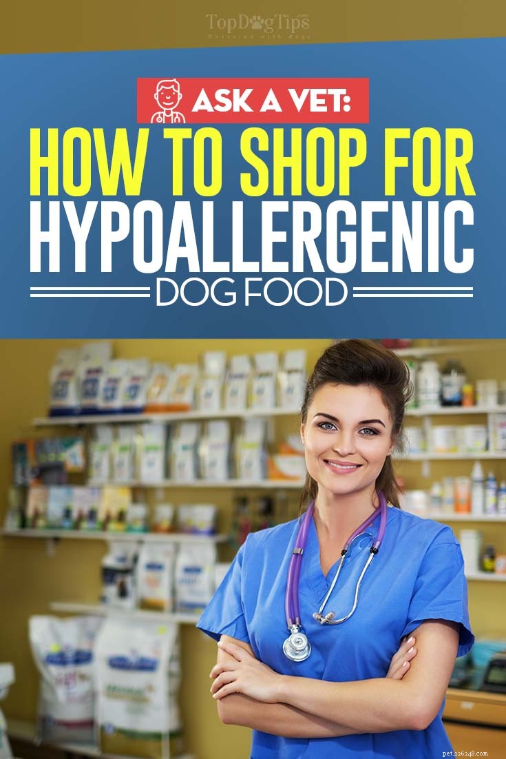 Choosing the Right Hypoallergenic Dog Food: A Veterinarian’s Expert Guide