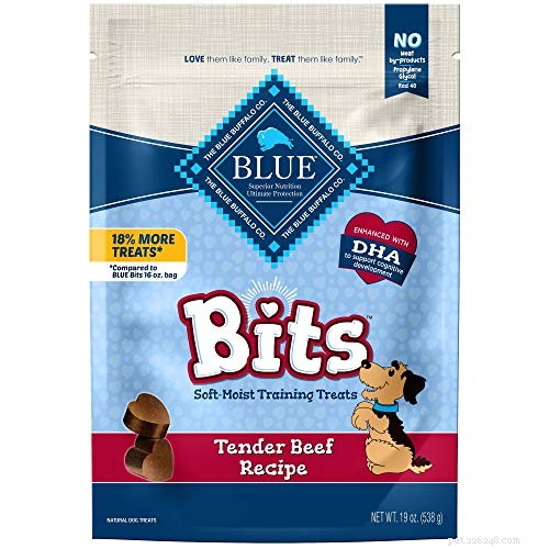 Choosing the Right Hypoallergenic Dog Food: A Veterinarian’s Expert Guide