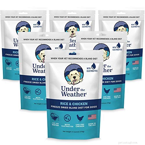 10 Proven Ways to Soothe Your Dog’s Upset Stomach