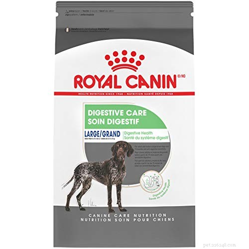 10 Proven Ways to Soothe Your Dog’s Upset Stomach