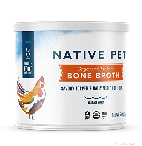 10 Proven Ways to Soothe Your Dog’s Upset Stomach