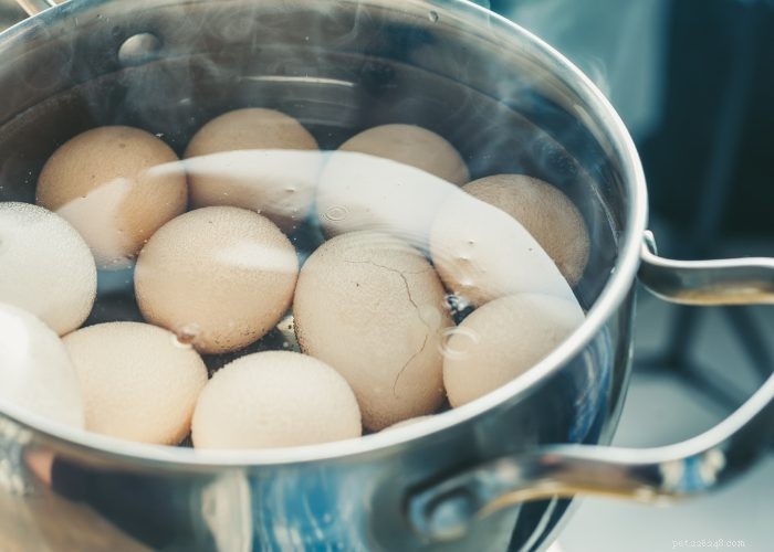 Hardboiled Eggs for Dogs: Safe, Nutritious, and Delicious