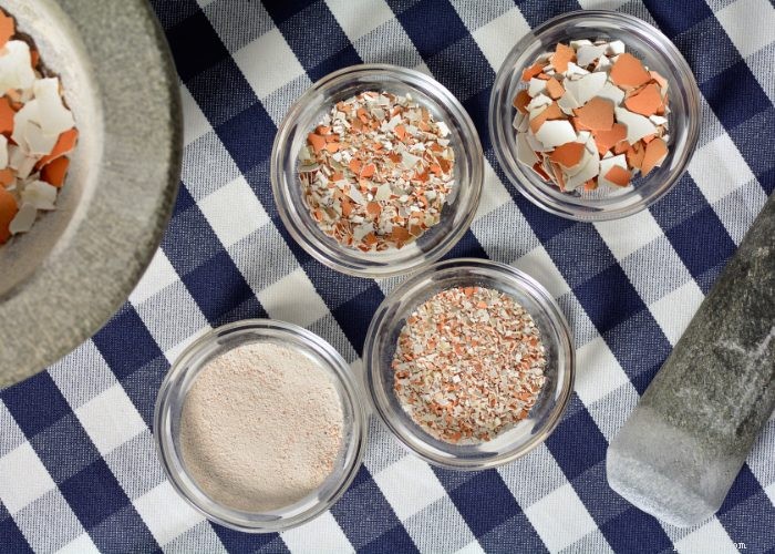 Hardboiled Eggs for Dogs: Safe, Nutritious, and Delicious
