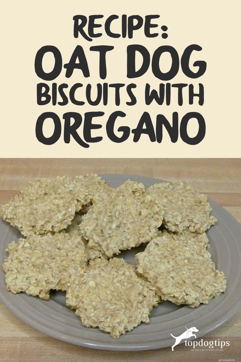 Healthy DIY Oat & Oregano Dog Biscuits – Quick & Budget-Friendly Homemade Treats