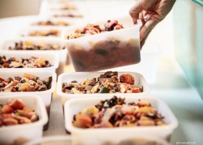 Expert Review: Fresh Dog Food Delivery Services You Can Trust