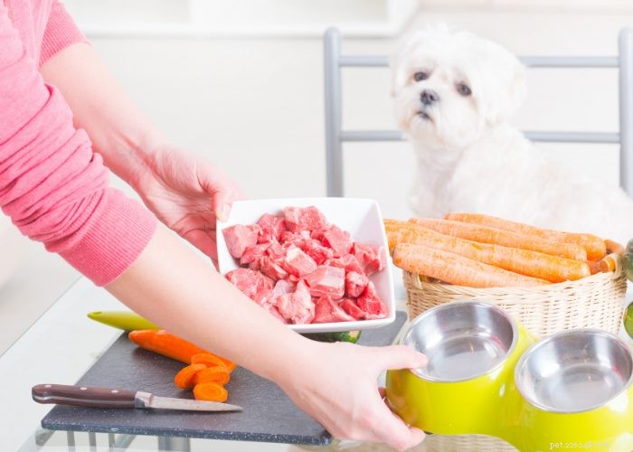 Expert Review: Fresh Dog Food Delivery Services You Can Trust