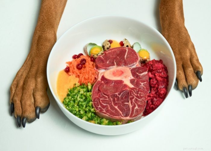 Expert Review: Fresh Dog Food Delivery Services You Can Trust