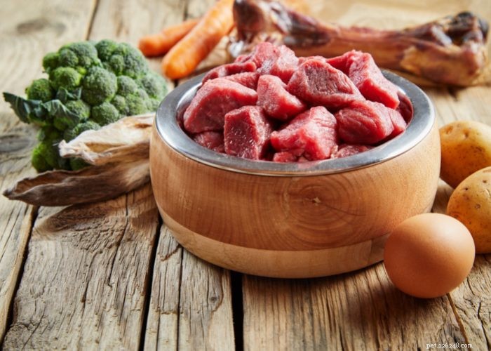 Expert Review: Fresh Dog Food Delivery Services You Can Trust