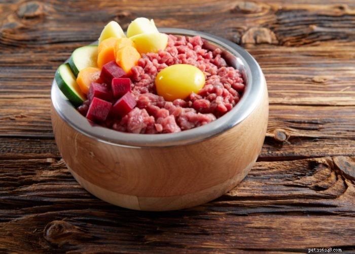 Expert Review: Fresh Dog Food Delivery Services You Can Trust
