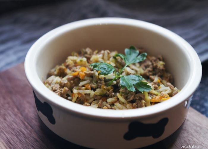 Expert Review: Fresh Dog Food Delivery Services You Can Trust