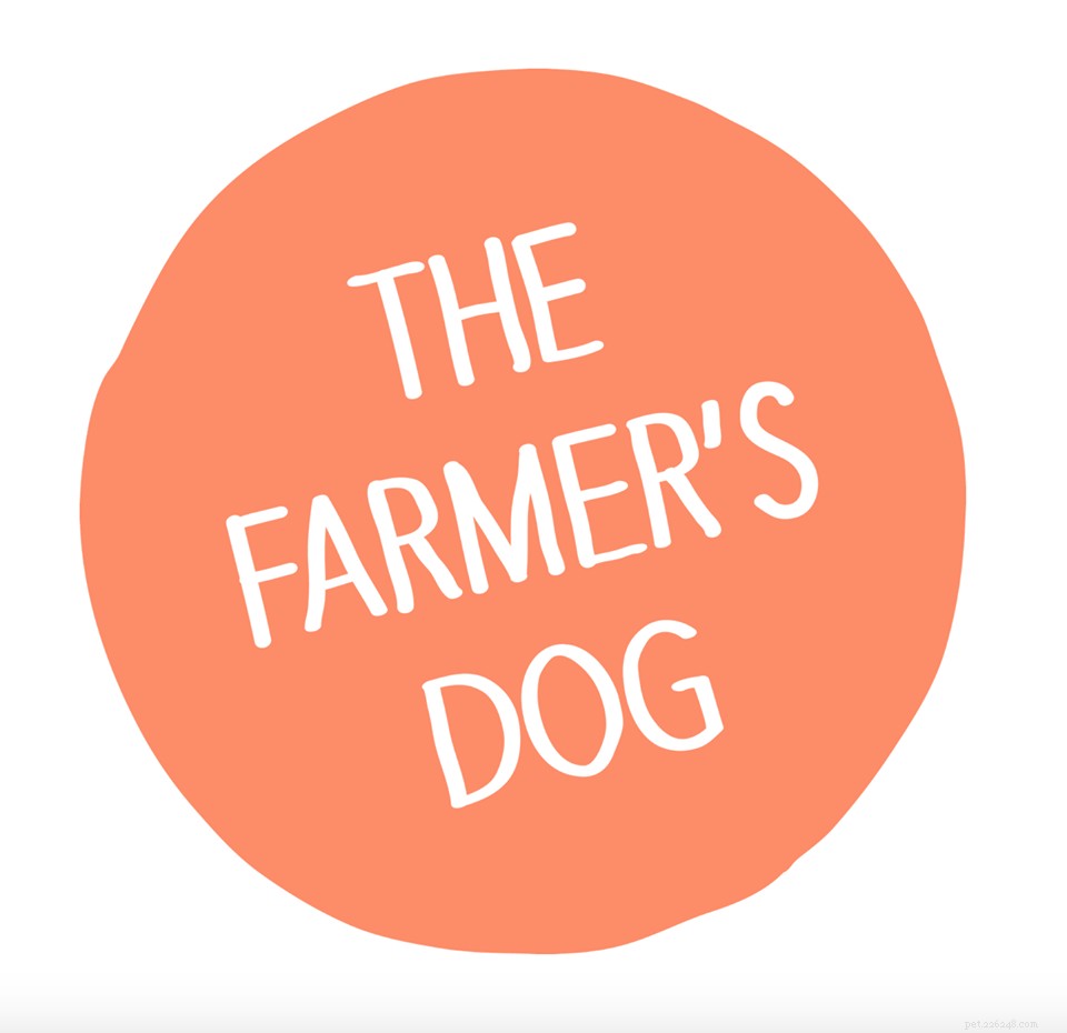 Expert Review: Fresh Dog Food Delivery Services You Can Trust