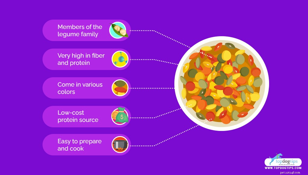 Are Lentils Safe for Dogs? A Comprehensive Guide to Feeding Your Canine