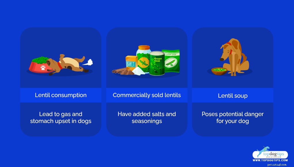 Are Lentils Safe for Dogs? A Comprehensive Guide to Feeding Your Canine