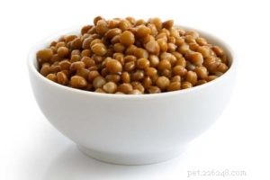 Are Lentils Safe for Dogs? A Comprehensive Guide to Feeding Your Canine