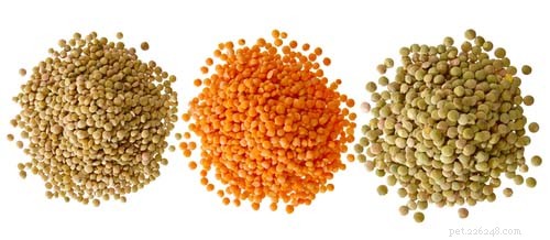 Are Lentils Safe for Dogs? A Comprehensive Guide to Feeding Your Canine