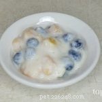 DIY Fruit Parfait Dog Treat: Cool, Nutritious & Easy