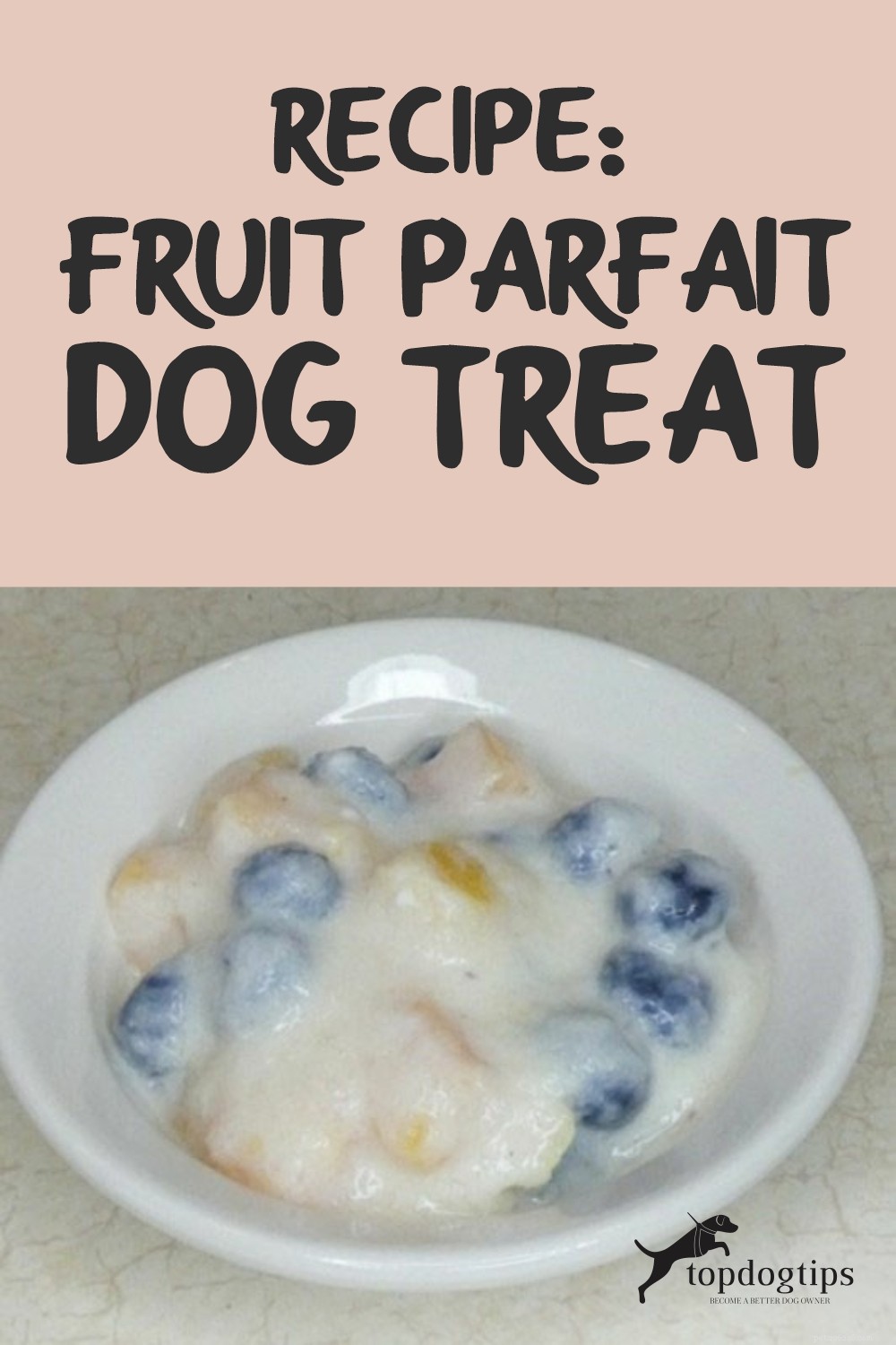 DIY Fruit Parfait Dog Treat: Cool, Nutritious & Easy