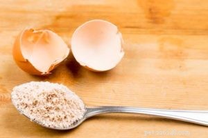 Yes, Dogs Can Safely Eat Hard-Boiled Eggs