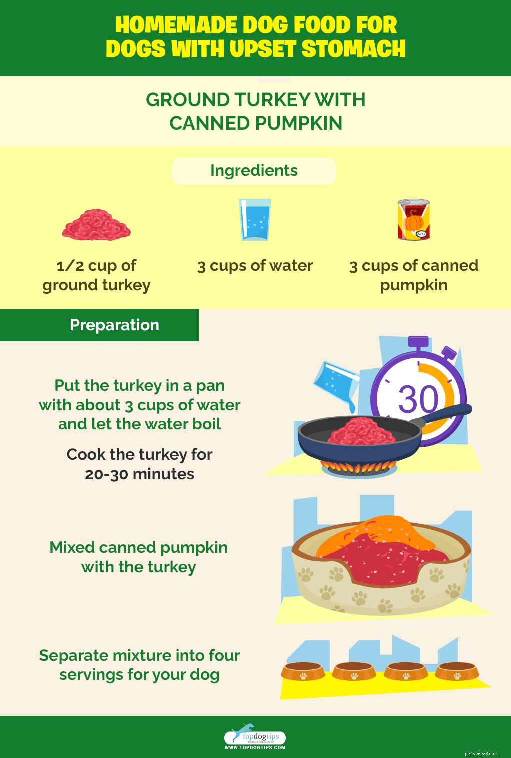 How to Feed Your Dog When Its Stomach is Upset – Safe Foods & What to Avoid