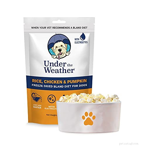 How to Feed Your Dog When Its Stomach is Upset – Safe Foods & What to Avoid