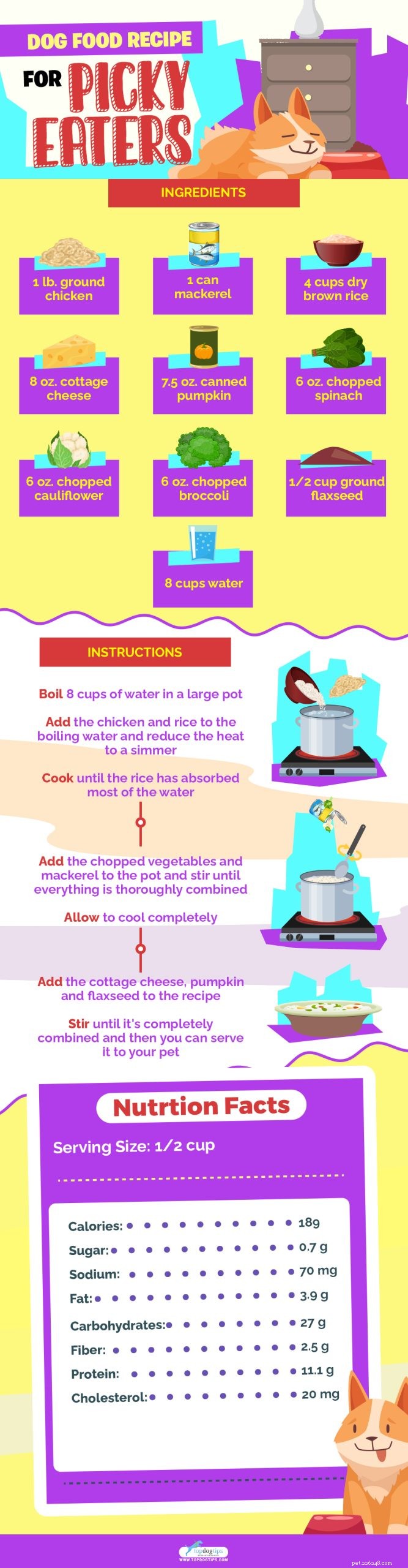 Nutritious Homemade Dog Food Recipe to Satisfy Picky Pups