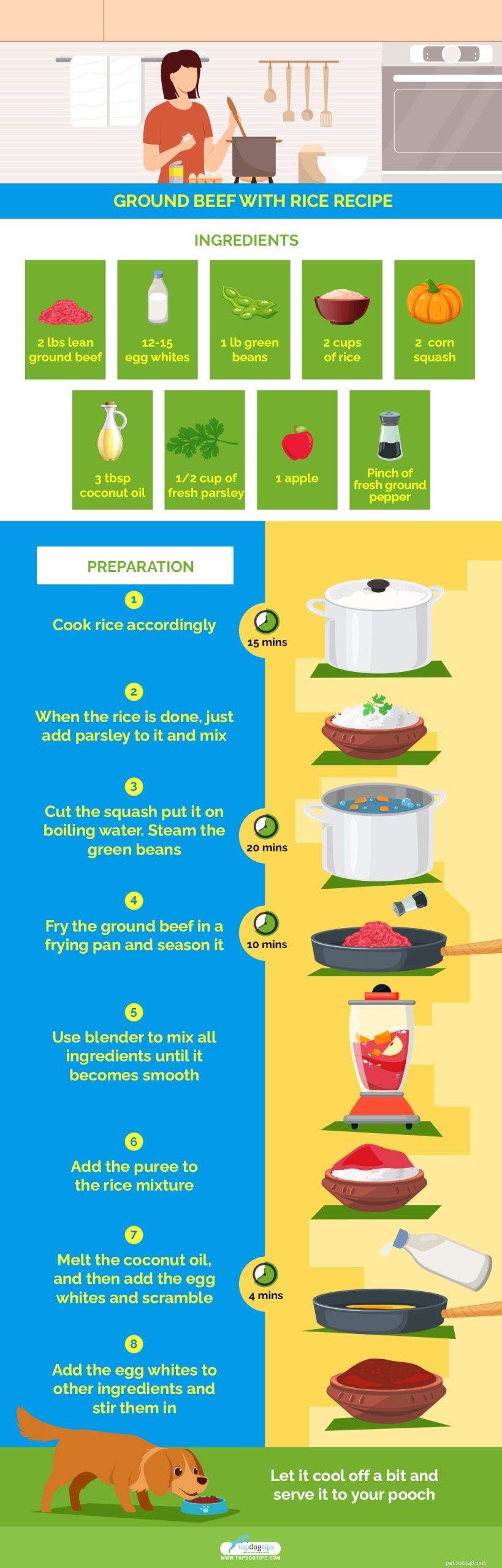 Expert Guide to Feeding Dogs with Kidney Disease: Nutrition for Recovery