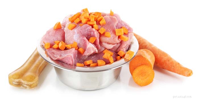 Expert Guide to Feeding Dogs with Kidney Disease: Nutrition for Recovery