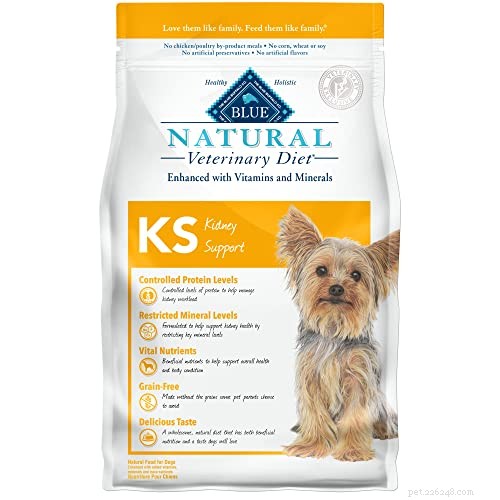 Expert Guide to Feeding Dogs with Kidney Disease: Nutrition for Recovery