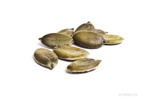 Can Dogs Safely Eat Pumpkin Seeds? Health Benefits Explained