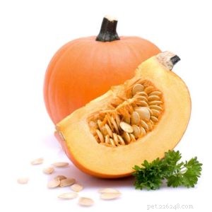 Can Dogs Safely Eat Pumpkin Seeds? Health Benefits Explained