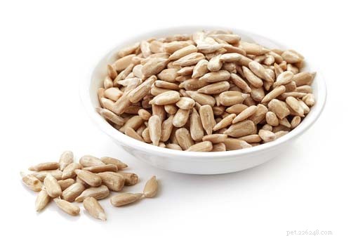 Are Sunflower Seeds Safe for Dogs? 5 Key Benefits & 3 Potential Risks