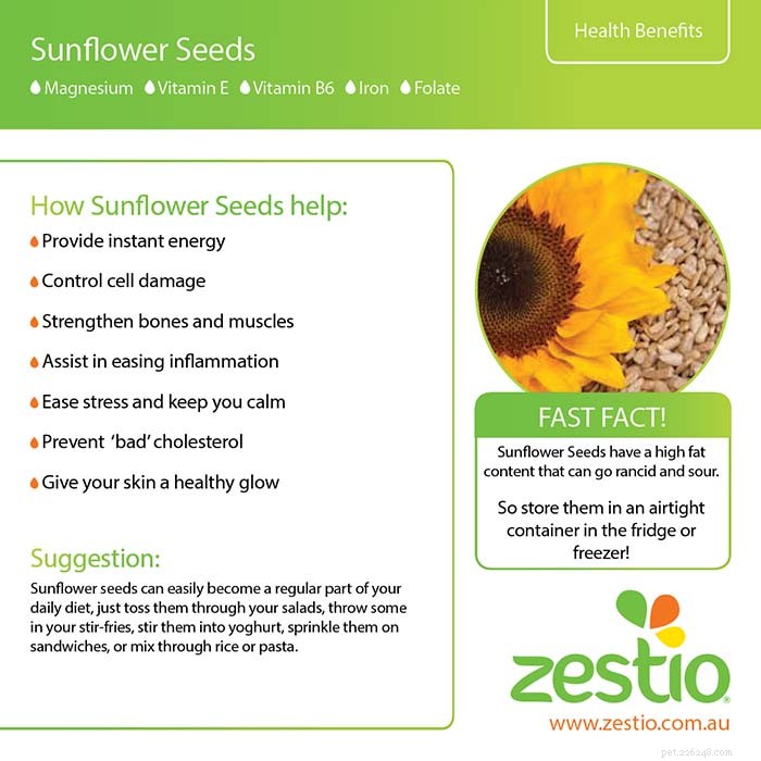 Are Sunflower Seeds Safe for Dogs? 5 Key Benefits & 3 Potential Risks