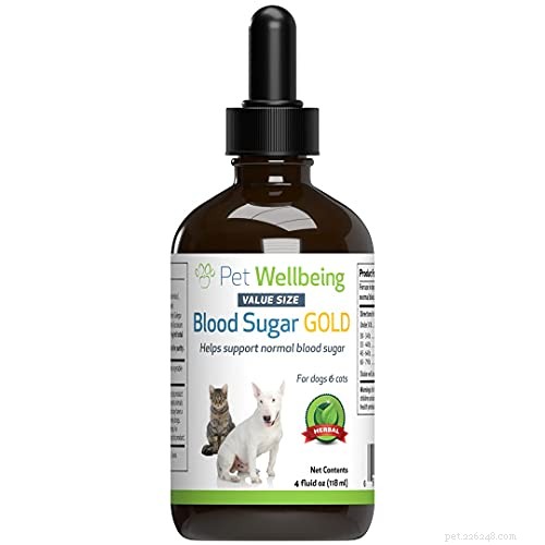 Expert Guide: 15 Essential Tips for Choosing Diabetic Dog Food & Managing Your Pet’s Health