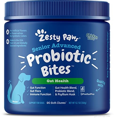 Expert Guide: 15 Essential Tips for Choosing Diabetic Dog Food & Managing Your Pet’s Health