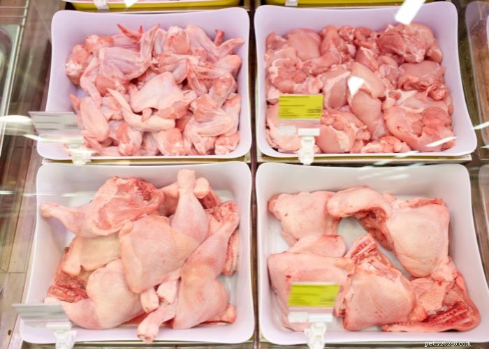 Top Protein Picks for Dogs: How to Choose the Best Foods for Health