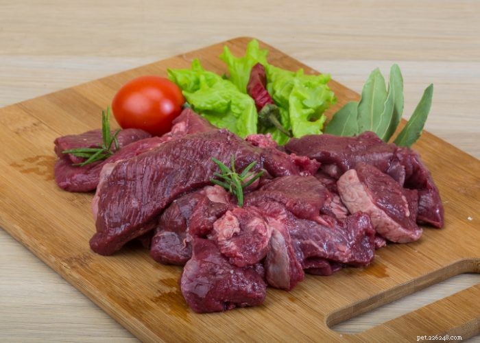 Top Protein Picks for Dogs: How to Choose the Best Foods for Health