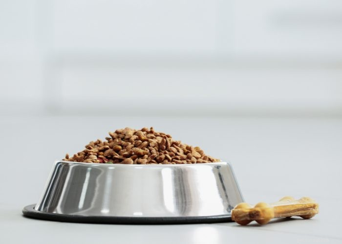 Top Protein Picks for Dogs: How to Choose the Best Foods for Health